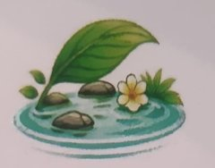 Nature Balance Logo